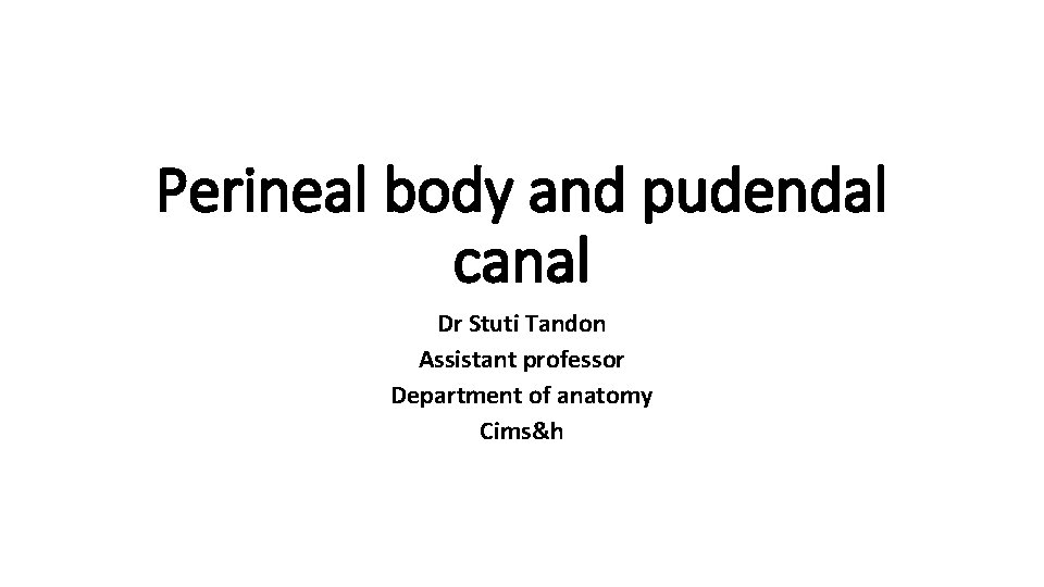 Perineal body and pudendal canal Dr Stuti Tandon Assistant professor Department of anatomy Cims&h