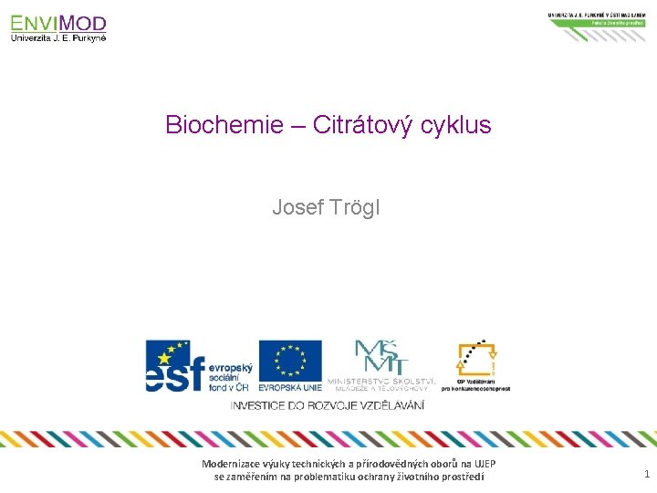Biochemie – Citrátový cyklus Josef Trögl Modernizace výuky technických a přírodovědných oborů na UJEP
