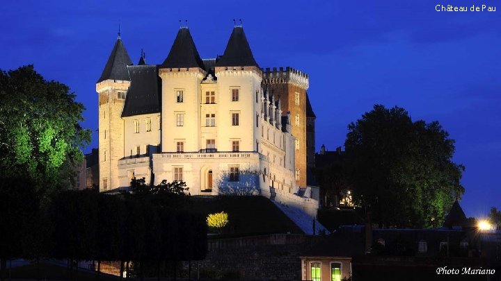Château de Pau . . . 