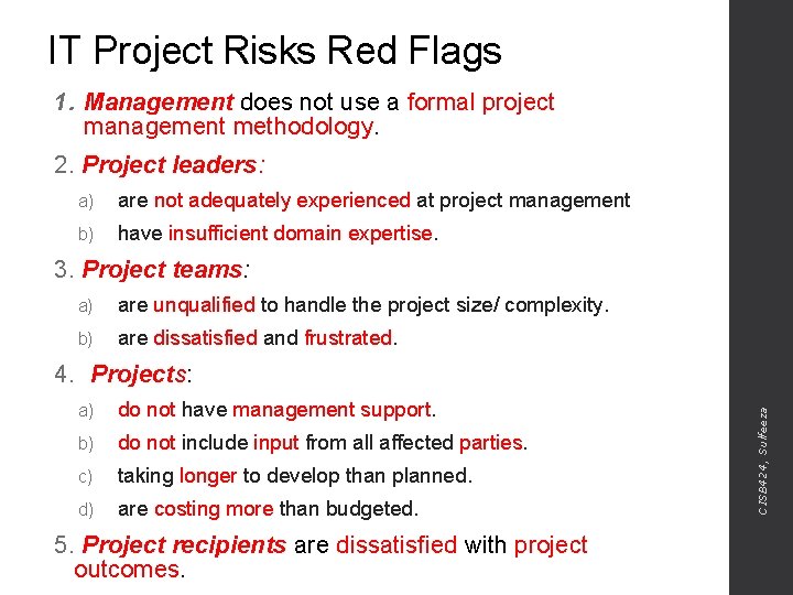 IT Project Risks Red Flags 1. Management does not use a formal project management