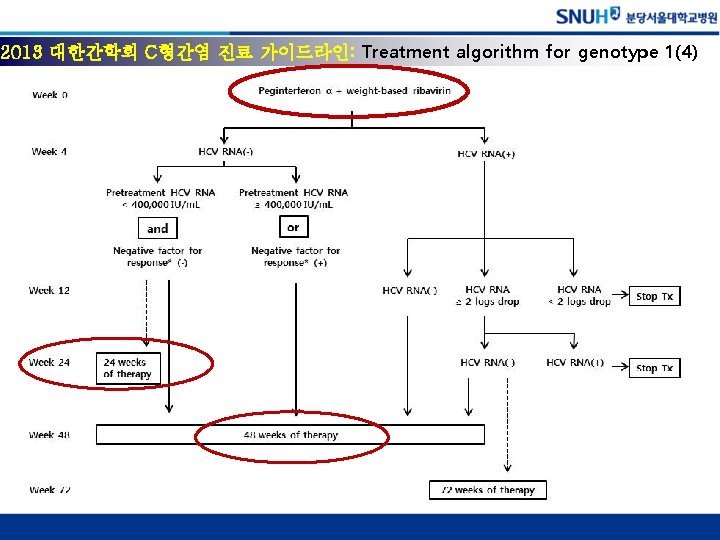 2013 대한간학회 C형간염 진료 가이드라인: Treatment algorithm for genotype 1(4) 