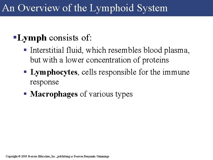 An Overview of the Lymphoid System §Lymph consists of: § Interstitial fluid, which resembles An Overview of the Lymphoid System §Lymph consists of: § Interstitial fluid, which resembles