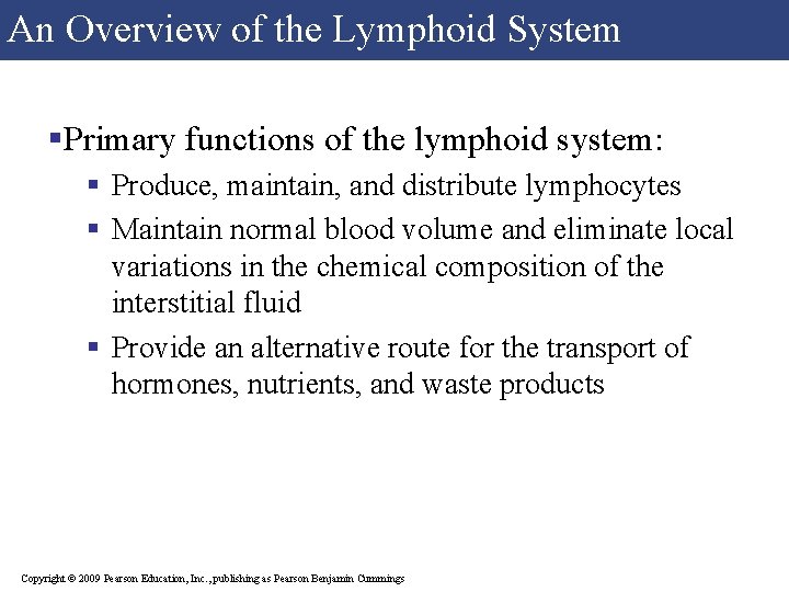 An Overview of the Lymphoid System §Primary functions of the lymphoid system: § Produce, An Overview of the Lymphoid System §Primary functions of the lymphoid system: § Produce,