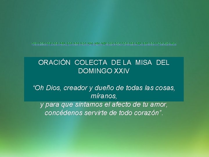 ORACIÓN COLECTA DE LA MISA DEL DOMINGO XXIV “Oh Dios, creador y dueño de