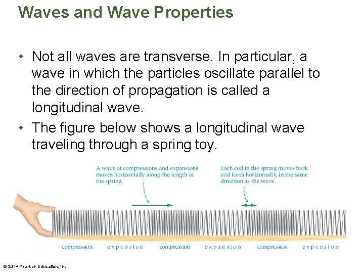 Waves and Wave Properties • Not all waves are transverse. In particular, a wave