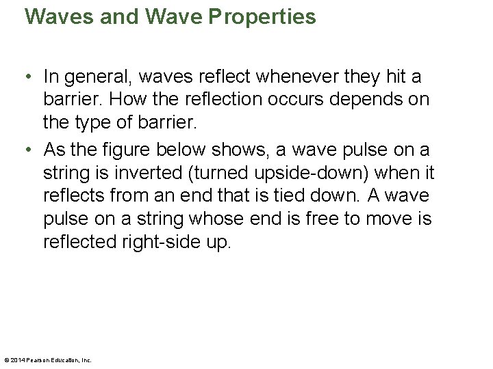 Waves and Wave Properties • In general, waves reflect whenever they hit a barrier.