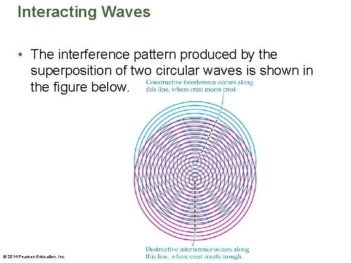 Interacting Waves • The interference pattern produced by the superposition of two circular waves