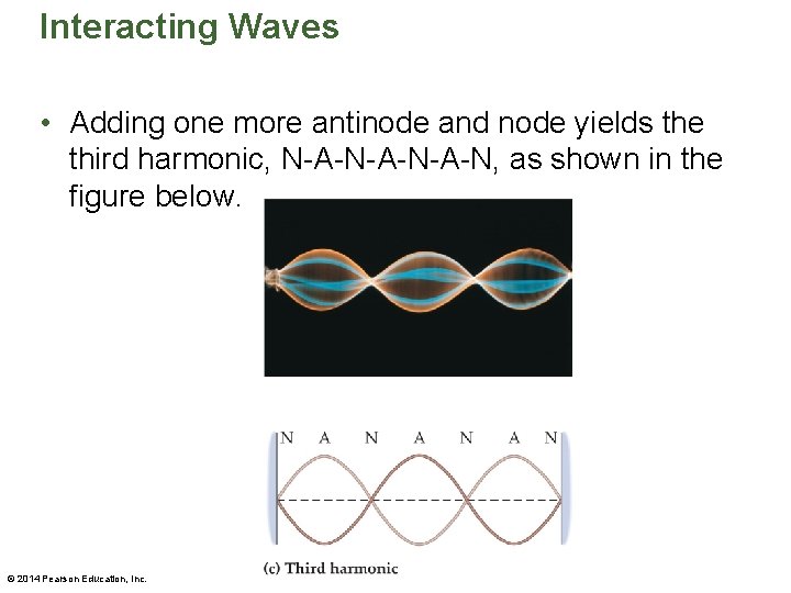 Interacting Waves • Adding one more antinode and node yields the third harmonic, N-A-N-A-N,