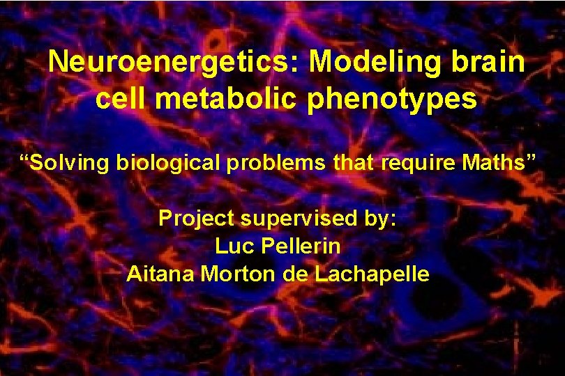 Neuroenergetics: Modeling brain cell metabolic phenotypes “Solving biological problems that require Maths” Project supervised