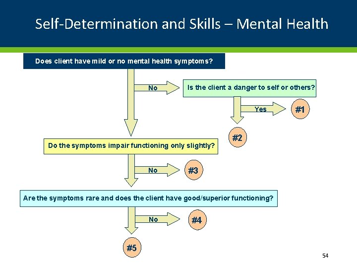 Self-Determination and Skills – Mental Health Does client have mild or no mental health