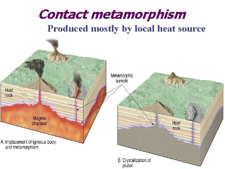 Contact metamorphism Produced mostly by local heat source 