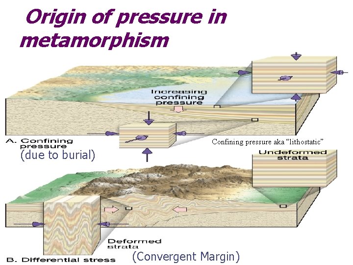 Origin of pressure in metamorphism Confining pressure aka “lithostatic” (due to burial) (Convergent Margin)