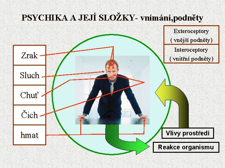 PSYCHIKA A JEJÍ SLOŽKY- vnímání, podněty Exteroceptory ( vnější podněty) Zrak Interoceptory ( vnitřní