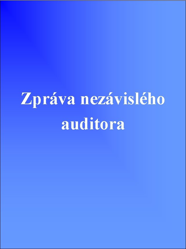 Zpráva nezávislého auditora 