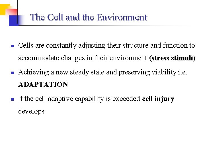 The Cell and the Environment n Cells are constantly adjusting their structure and function