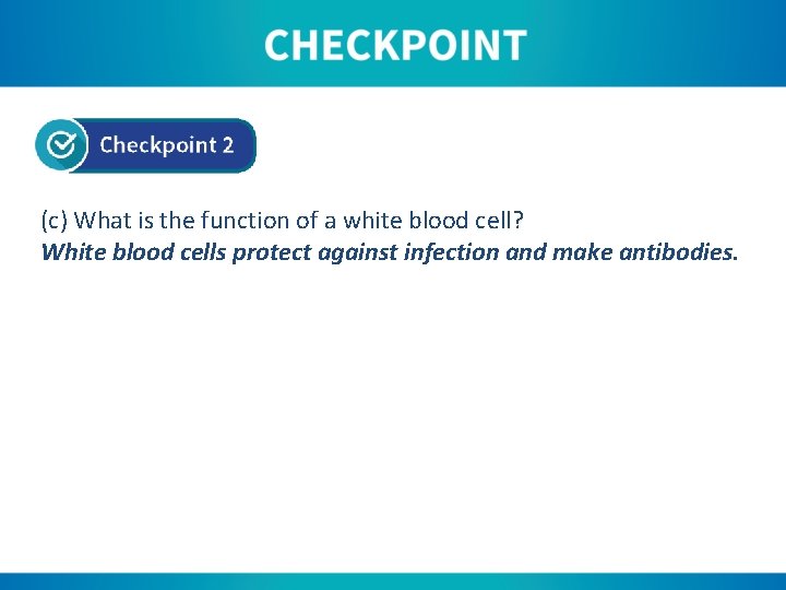 (c) What is the function of a white blood cell? White blood cells protect