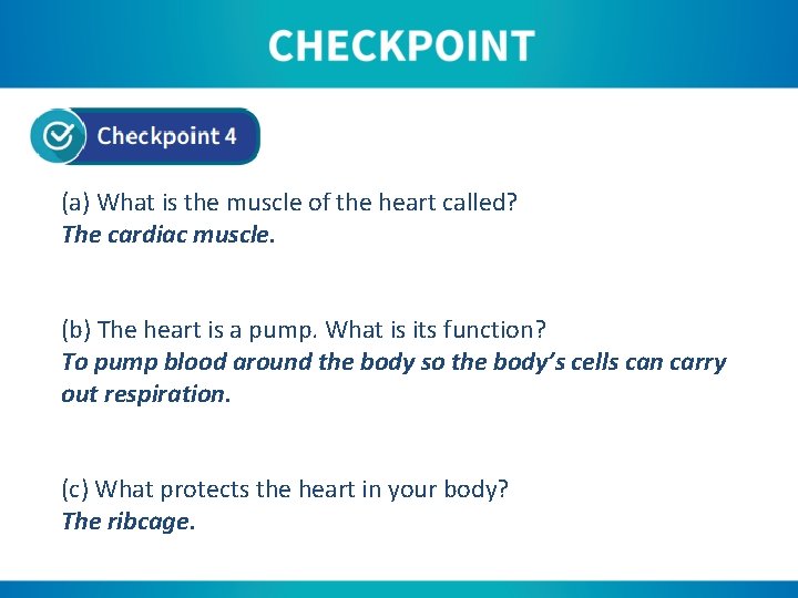 (a) What is the muscle of the heart called? The cardiac muscle. (b) The
