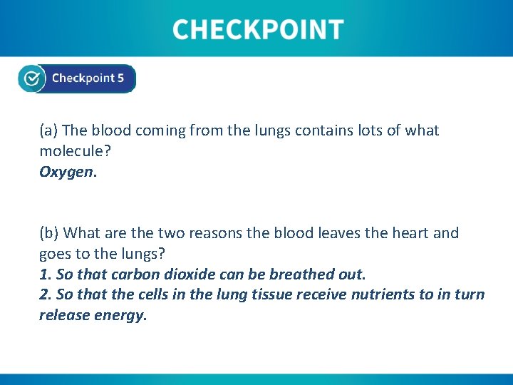(a) The blood coming from the lungs contains lots of what molecule? Oxygen. (b)
