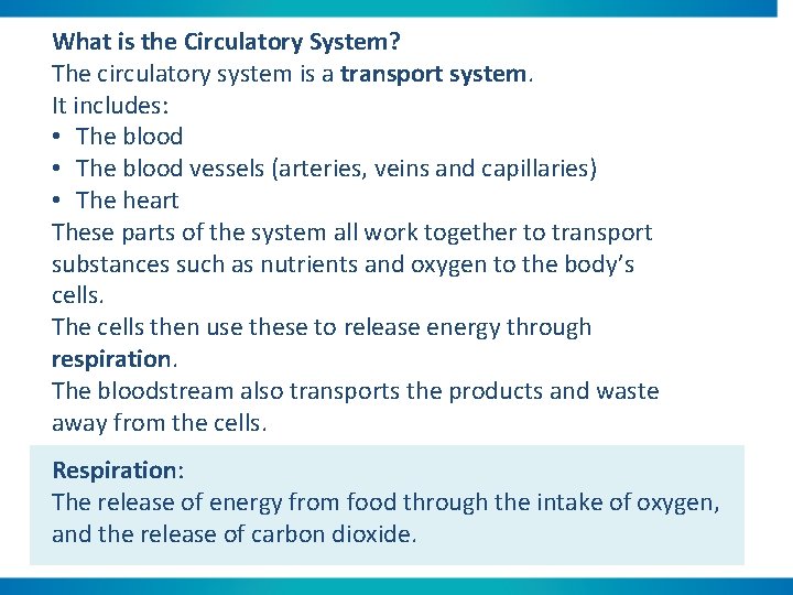 What is the Circulatory System? The circulatory system is a transport system. It includes: