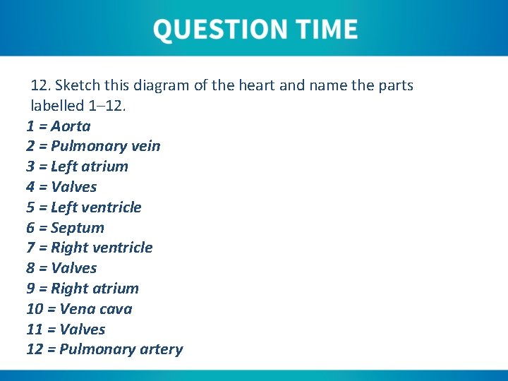 12. Sketch this diagram of the heart and name the parts labelled 1– 12.