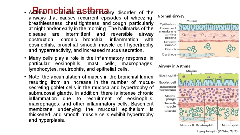 Bronchial asthma • Asthma is a chronic inflammatory disorder of the airways that causes