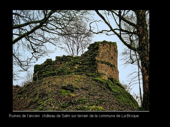 Ruines de l’ancien château de Salm sur terrain de la commune de La Broque
