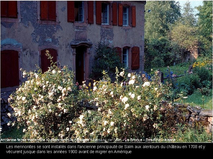 Les mennonites se sont installés dans l'ancienne principauté de Salm aux alentours du château