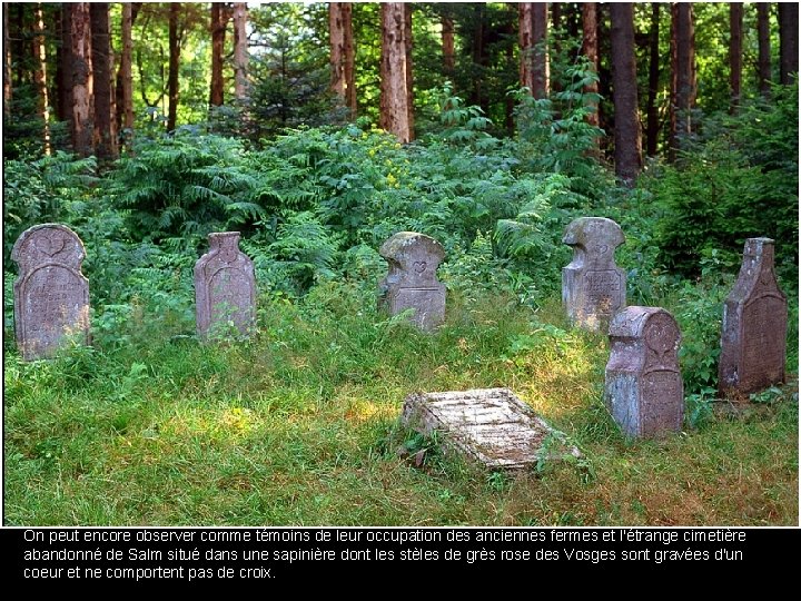 On peut encore observer comme témoins de leur occupation des anciennes fermes et l'étrange