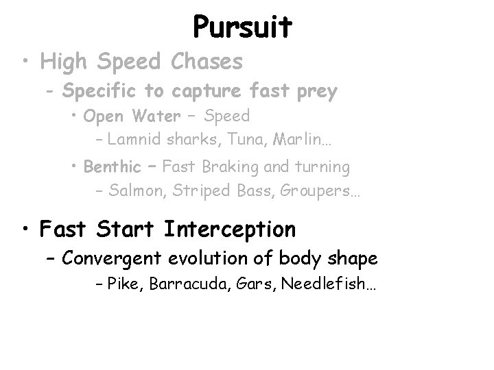 Pursuit • High Speed Chases - Specific to capture fast prey • Open Water