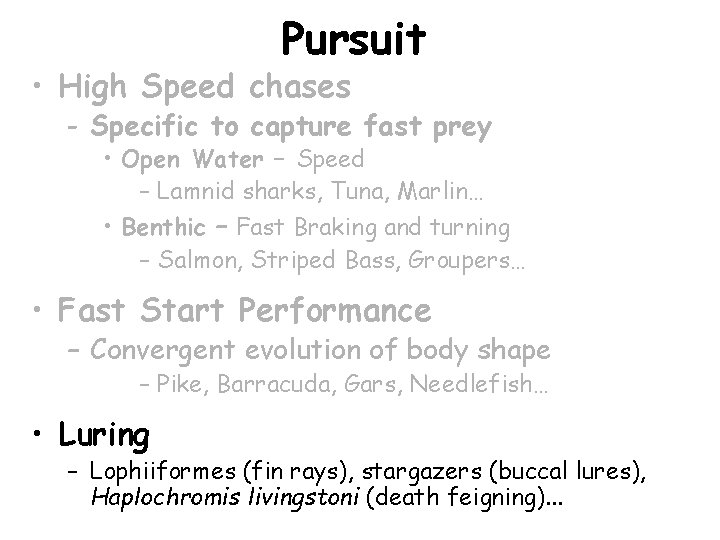 Pursuit • High Speed chases - Specific to capture fast prey • Open Water