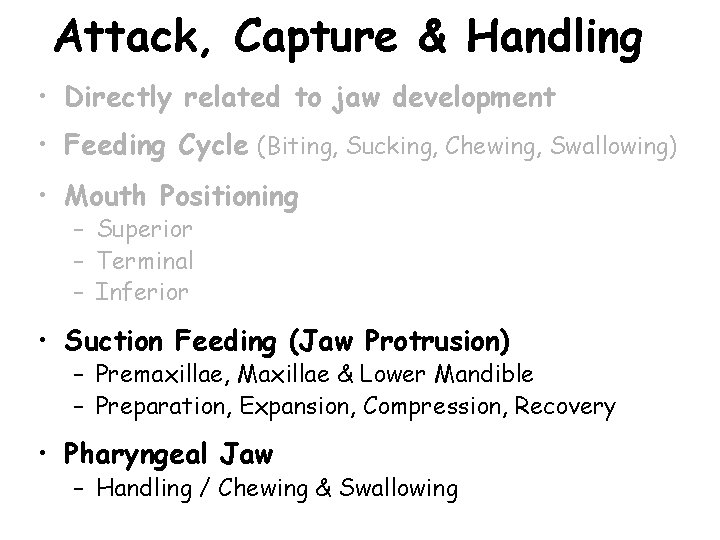 Attack, Capture & Handling • Directly related to jaw development • Feeding Cycle (Biting,
