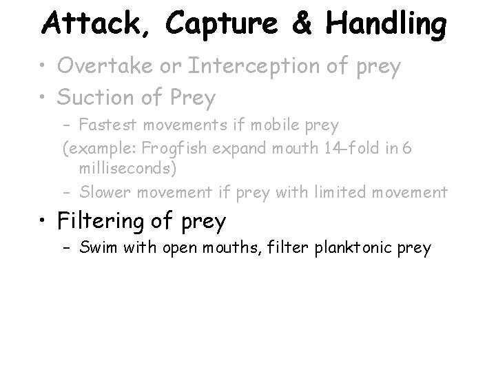 Attack, Capture & Handling • Overtake or Interception of prey • Suction of Prey