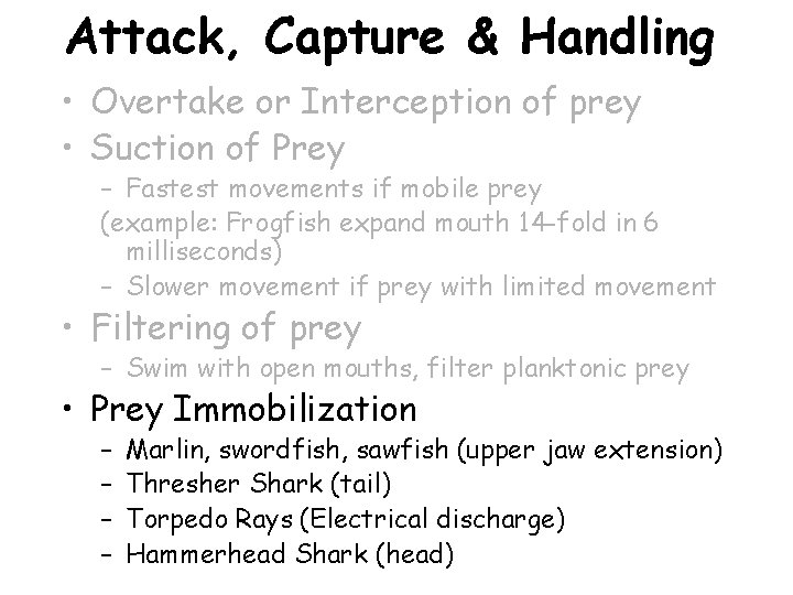 Attack, Capture & Handling • Overtake or Interception of prey • Suction of Prey