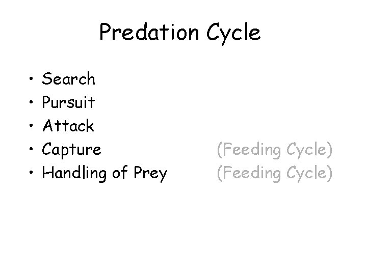 Predation Cycle • • • Search Pursuit Attack Capture Handling of Prey (Feeding Cycle)
