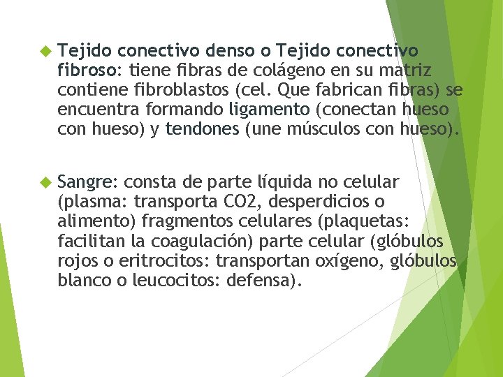  Tejido conectivo denso o Tejido conectivo fibroso: tiene fibras de colágeno en su