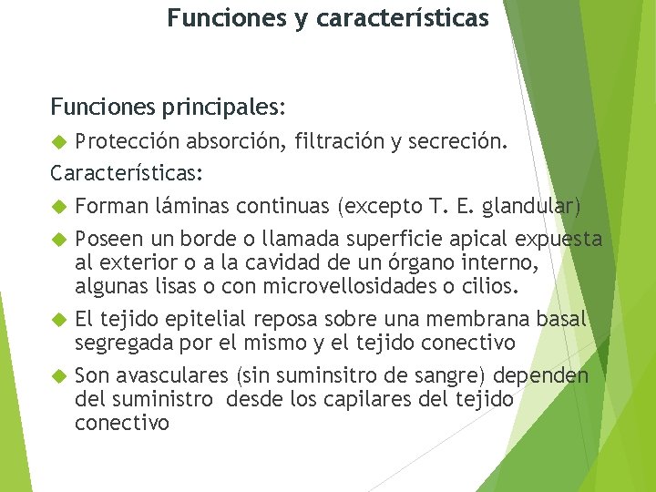 Funciones y características Funciones principales: Protección absorción, filtración y secreción. Características: Forman láminas continuas