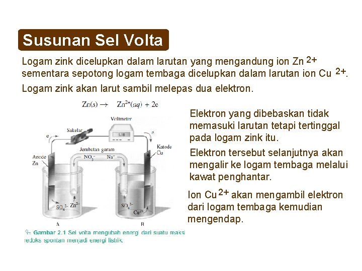 Susunan Sel Volta Logam zink dicelupkan dalam larutan yang mengandung ion Zn 2+ sementara