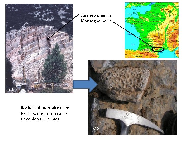 Carrière dans la Montagne noire n° 1 Roche sédimentaire avec fossiles: ère primaire =>