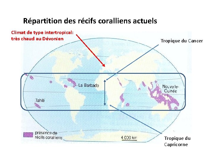 Répartition des récifs coralliens actuels Climat de type intertropical: très chaud au Dévonien Tropique