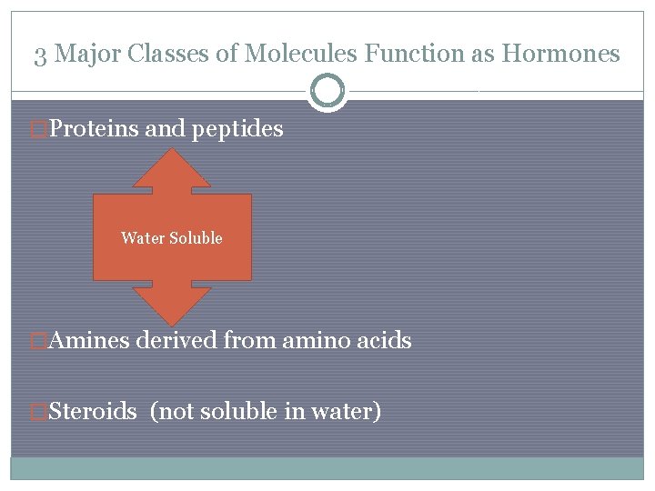 3 Major Classes of Molecules Function as Hormones �Proteins and peptides Water Soluble �Amines