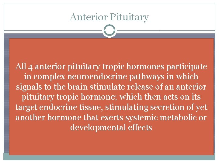 Anterior Pituitary �Consists of endocrine cells that synthesize and secrete at least 6 different