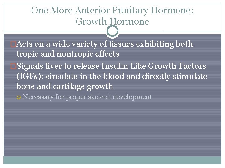 One More Anterior Pituitary Hormone: Growth Hormone �Acts on a wide variety of tissues