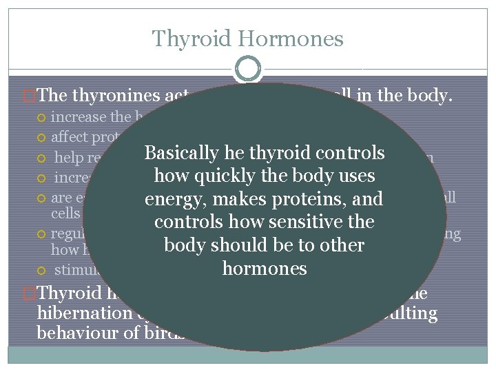 Thyroid Hormones �The thyronines act on nearly every cell in the body. increase the