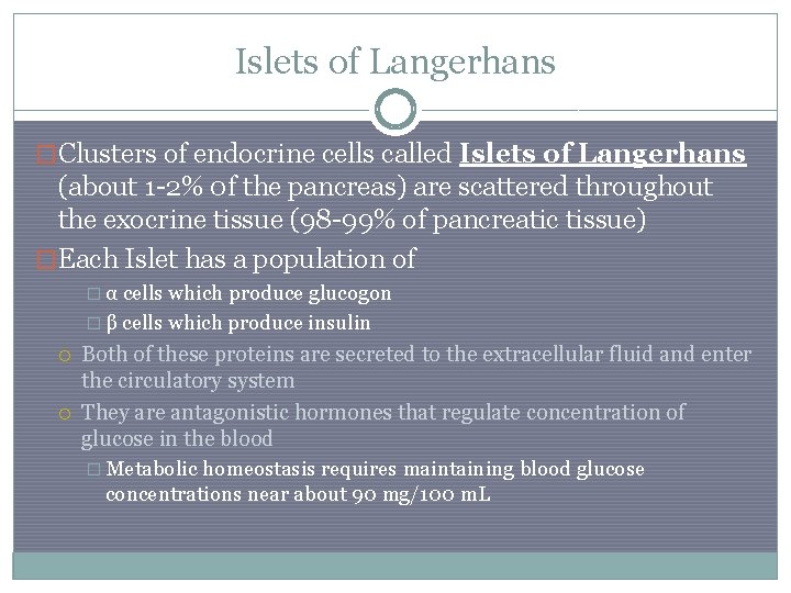 Islets of Langerhans �Clusters of endocrine cells called Islets of Langerhans (about 1 -2%