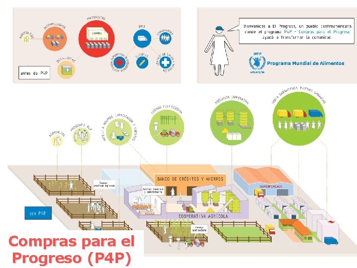 Compras para el Progreso (P 4 P) 