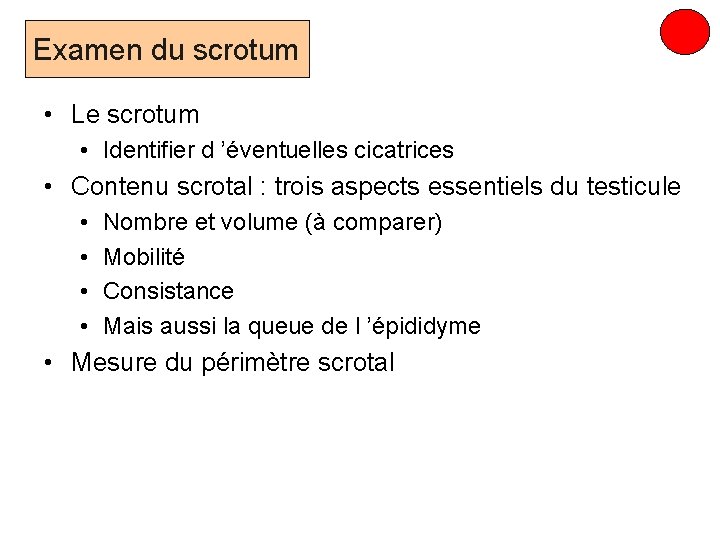 Examen du scrotum • Le scrotum • Identifier d ’éventuelles cicatrices • Contenu scrotal