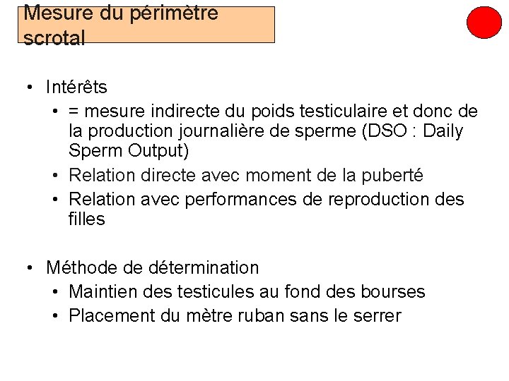 Mesure du périmètre scrotal • Intérêts • = mesure indirecte du poids testiculaire et