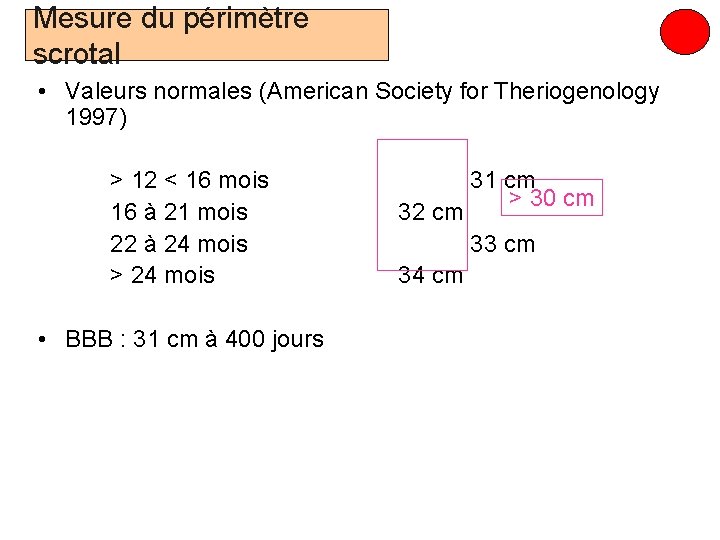Mesure du périmètre scrotal • Valeurs normales (American Society for Theriogenology 1997) > 12
