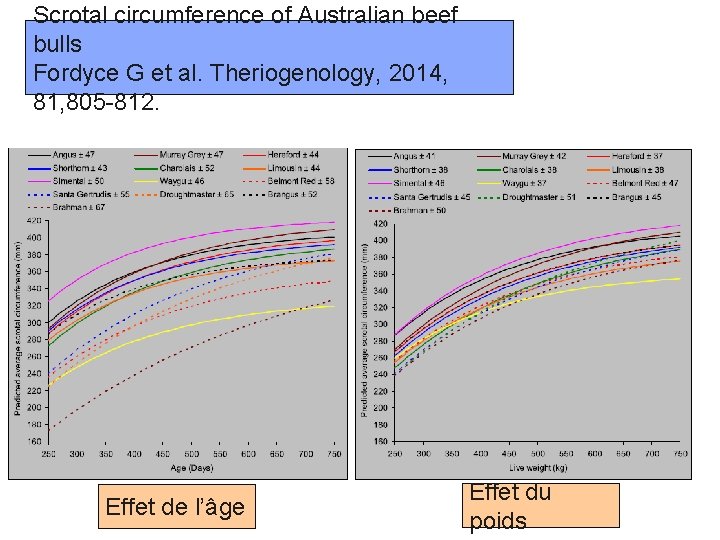 Scrotal circumference of Australian beef bulls Fordyce G et al. Theriogenology, 2014, 81, 805