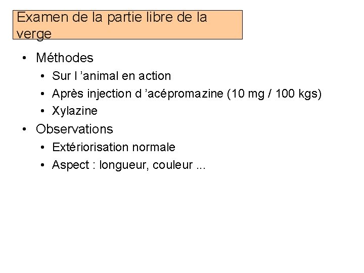 Examen de la partie libre de la verge • Méthodes • Sur l ’animal